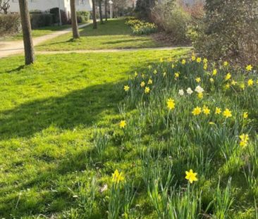 Location Appartement 1 pièce(s) de 15.74 m2 - Photo 6