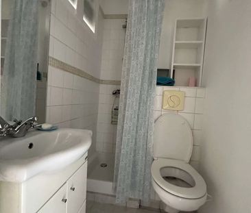 Location Appartement 1 pièce NICE 06000 - Photo 6