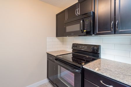 Solara at Sky View - Photo 3