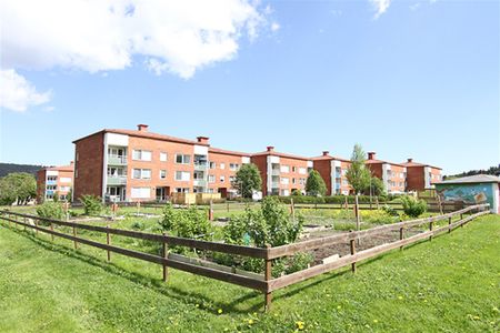 Midälvavägen 60 - Foto 5