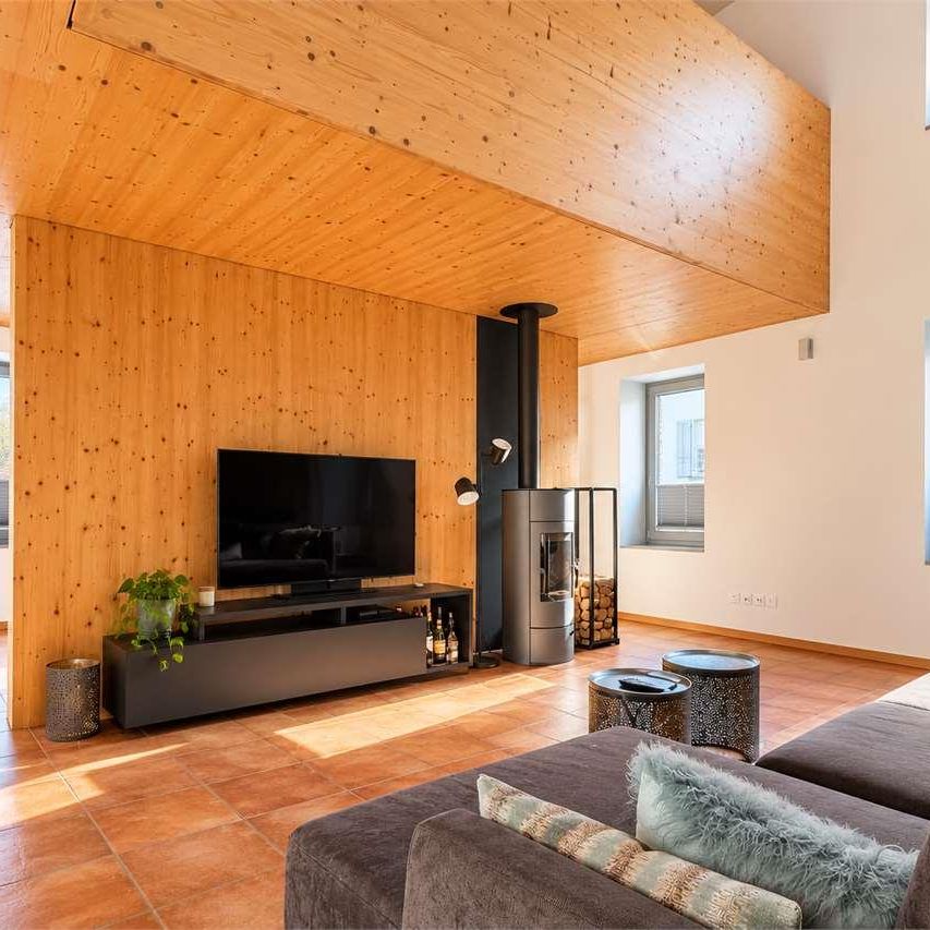 Loft di charme in edificio storico a Barbengo - Foto 1