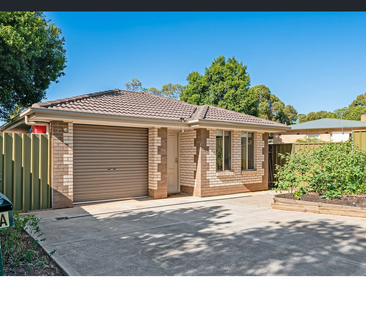 3a Brady Street, Elizabeth Downs SA 5113 - House For Rent | Domain - Photo 5