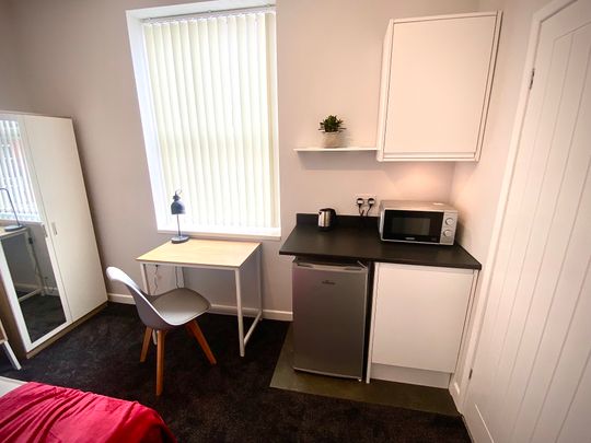 Newly Renovated Studio style en-suite rooms - Photo 1