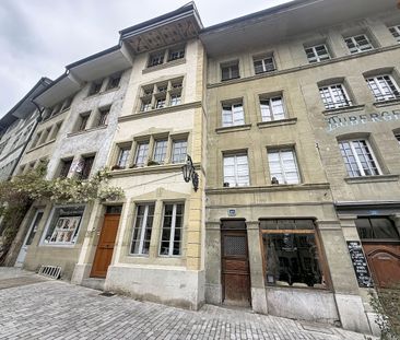 LUMINOUS 3 ½ ROOMS – With a seal in the attic! - Photo 3
