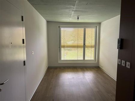 Rte des Iles 15, 1890 ST-MAURICE - Photo 3