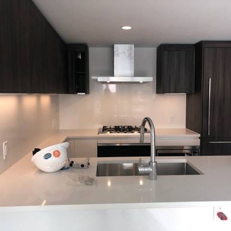 2 bedroom condo in Richmond skytrain 4 rent - Photo 1