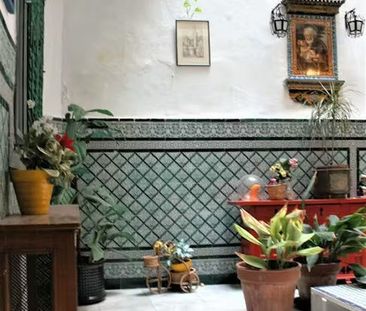 Calle Vidrio, Sevilla, Andalusia 41003 - Photo 4