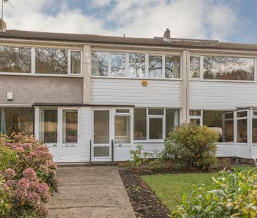 3 bedroom terraced house to rent - Photo 3