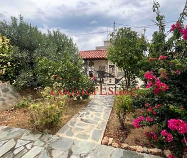 Μονοκατοικία για ενοικίαση Περιβόλια (Ραφήνα) - Φωτογραφία 3