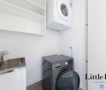 13b Negus Crescent, Watson ACT 2602 - Townhouse For Rent | Domain - Photo 4