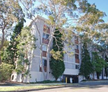 Unit 1, 595 Willoughby Road, Willoughby, NSW - Photo 3