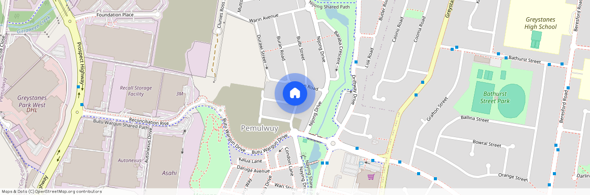 3 Buru Pl, NSW 2145, Pemulwuy