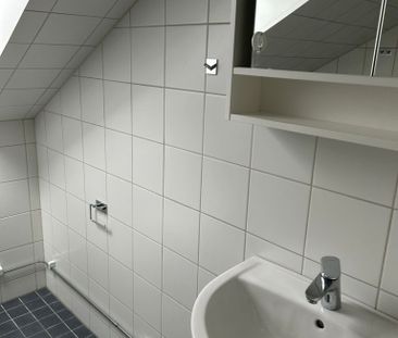 Hasselgatan, Malmö - Foto 6