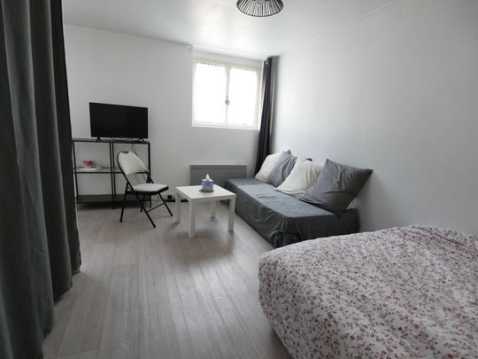 Location Appartement 1 pièce 25m² ANGERS 49000 - Photo 1