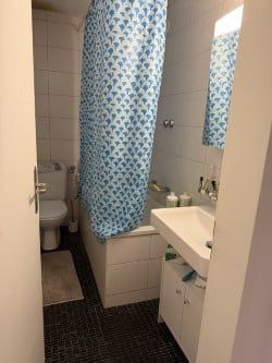 Helle 2-Zimmer-Wohnung mit Balkon an der Eugen-Huber-Strasse in Zürich - Foto 4