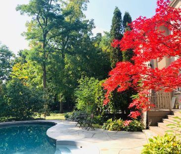 For Lease - 155 Renaissance Court, Vaughan, Ontario - Photo 4