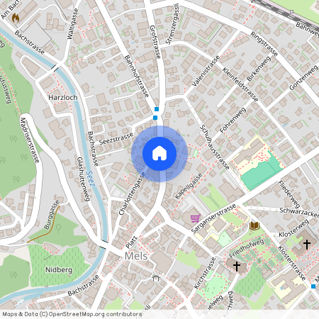 8887, Mels, Charlottengasse, 16