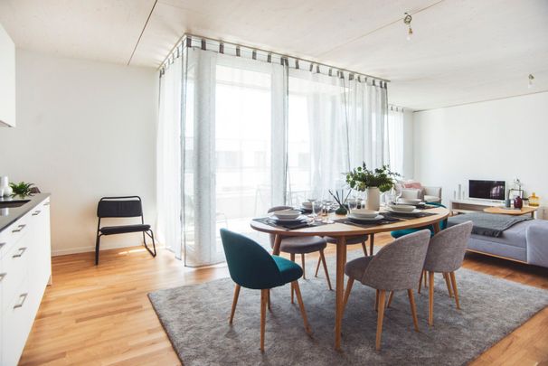 LE TICLE : Appartements neufs à louer - Photo 1