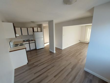 Pet Friendly 2 Bedroom, 1 Bathroom Apartment - Photo 2