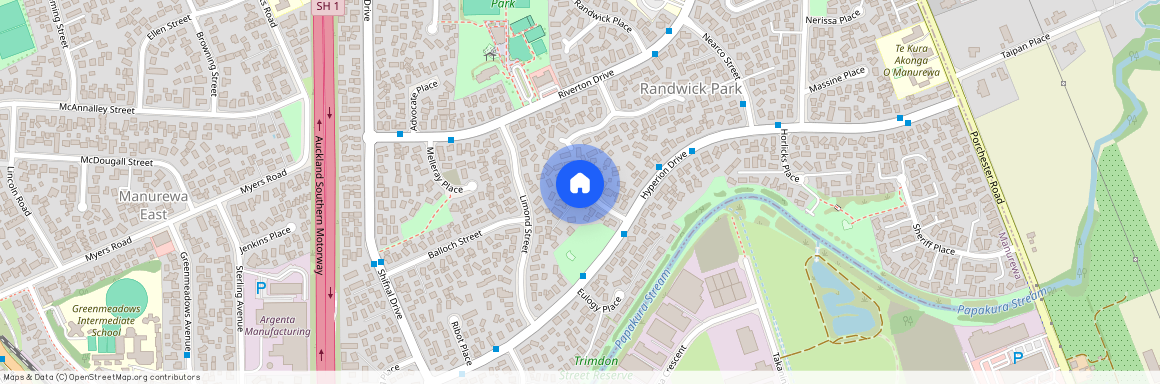 16 Goldnib Place, Randwick Park, Manukau City