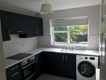 7 Ardenlee Place, Belfast, BT6 8QS - Photo 4