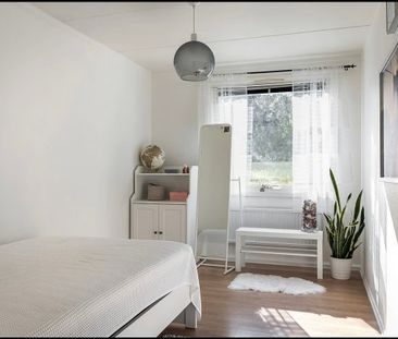 Tulpangatan, Malmö - Foto 4