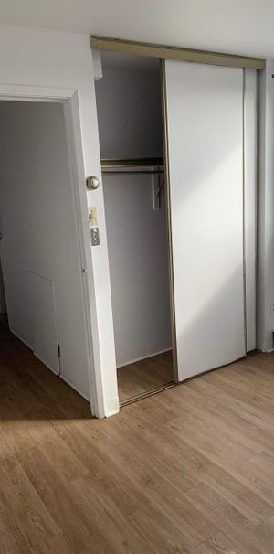 1 CH - 1 SDB - Montréal - $1,395 /mo - Photo 1