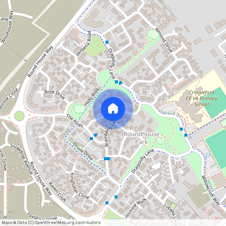 Dunlin Drive, Cringleford NR4