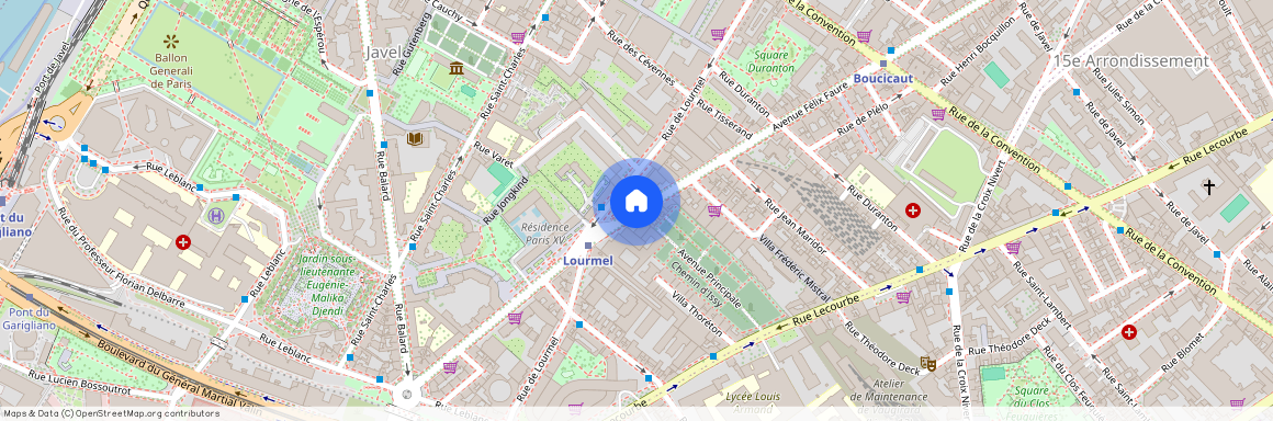 Avenue Félix Faure, Francja, Paris