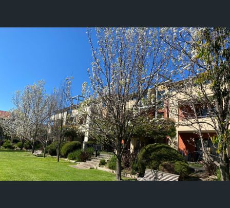 26 Brushbox Court, Clayton, Vic 3168 - Photo 1