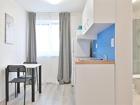 Pronájem bytu 1+1 25 m2 - Photo 1