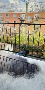 2 CH - 1 SDB - Longueuil - $1,425 /mo - Photo 4