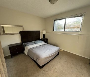 1 Fully renovated and furnished Edgemont bedroom — 1 Bedroom Room F... - Photo 1