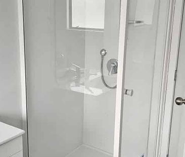 NO LAWNS, NEWLY RENOVATED PROPERTY - Photo 2