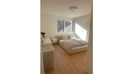 2½ Zimmer-Wohnung in Zürich - Kreis 3 Binz, möbliert, auf Zeit - Photo 2