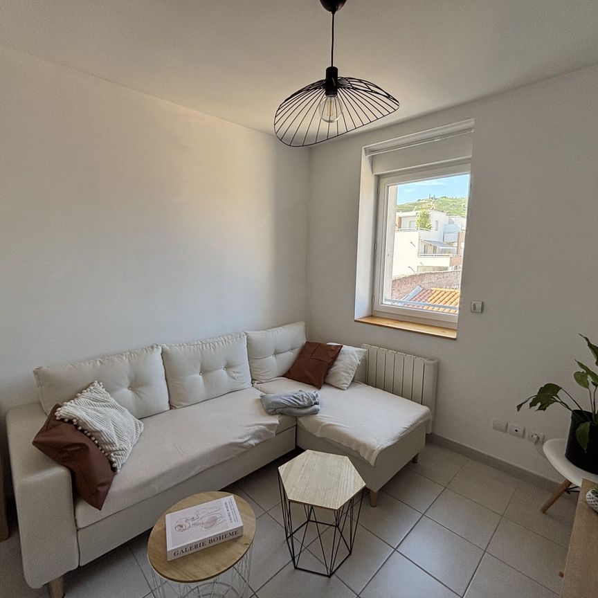 Location Appartement 3 pièces 51m² TAIN L HERMITAGE 26600 - Photo 1