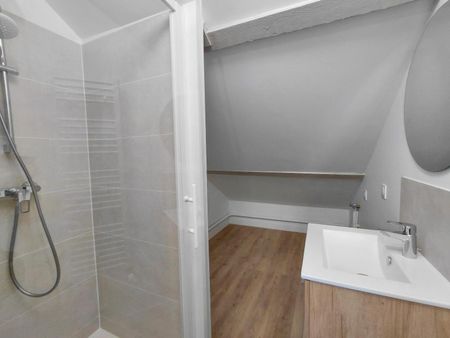 Location Appartement 1 pièce 18m² TOURS 37000 - Photo 2