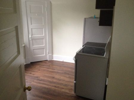 Newly renovated 1 bedroom with fenced yard in the heart of the Cathedral Area - Photo 5