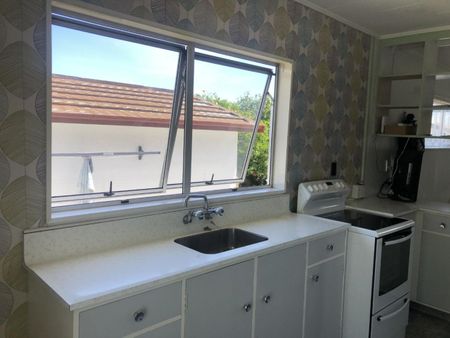 SUNNY FLAT IN TAHUNANUI - Photo 3