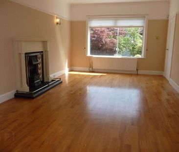 14 Cleaver Park, Malone Road, Belfast, BT9 5HX - Photo 4