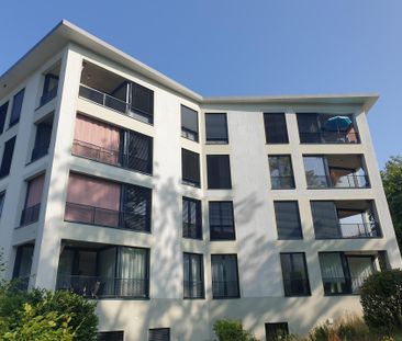 Coole sonnige 2.5 Z-Wohnung an optimaler Lage mit super Wohnkomfort - Photo 5