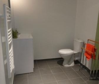 Location Appartement 1 pièce 20m² BEZIERS 34500 - Photo 2