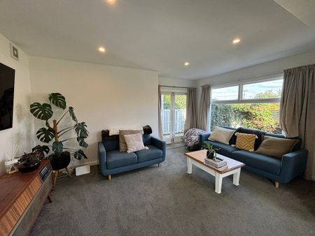 12 Manuka Street - Photo 2