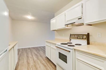 Classic Suite - 1 Bedroom - Photo 4