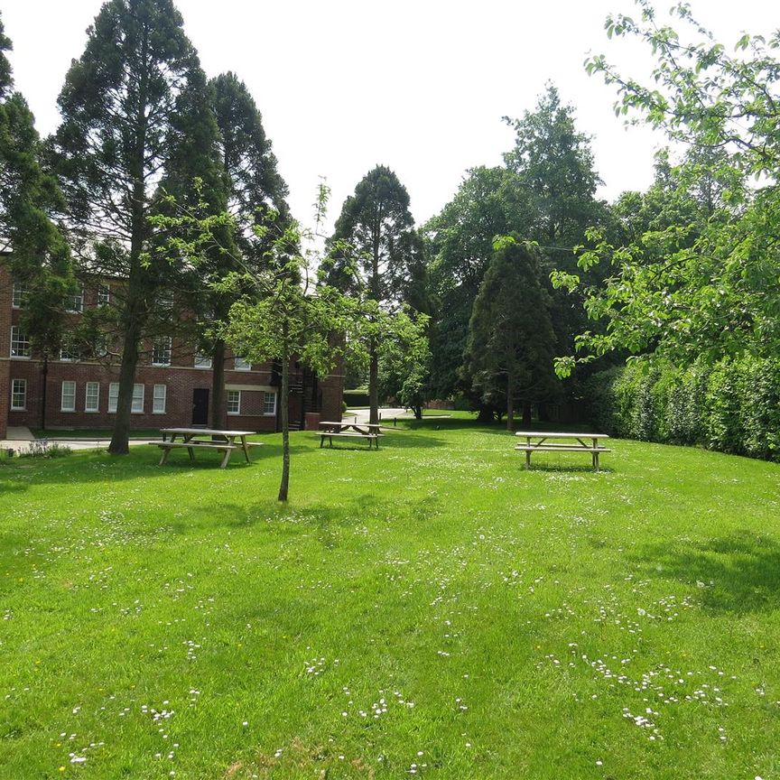 2 bed Flat for let - Photo 1