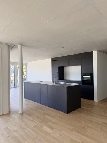Modernes Attikawohnen im Neubau - 4.5 Zimmer mit riesiger Terrasse - Foto 2