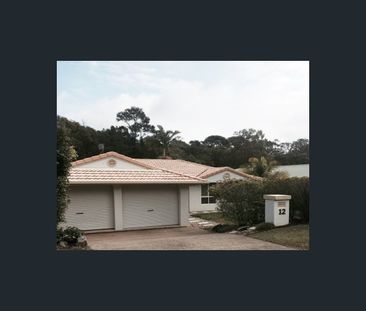 12 Lomandra Place, Tewantin, Qld 4565 - Photo 5