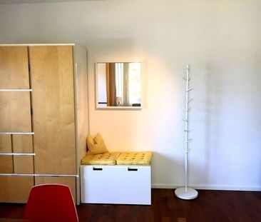 1-ROOM APARTMENT IN LIESTAL (BL), FURNISHED - Photo 6