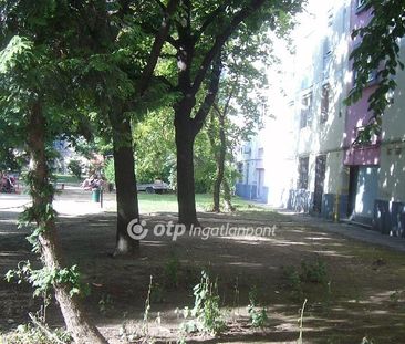 Szerémi sor, 1117, Budapest - Photo 3