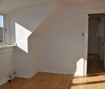 Dumpen - Photo 1